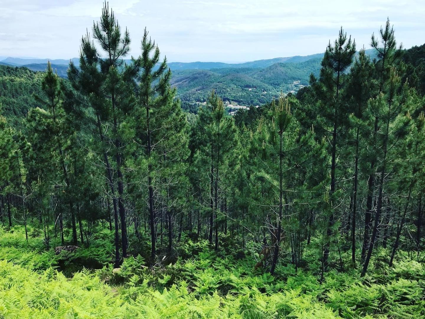 Detente Au Coeur Des Cevennes Besseges Esterno foto